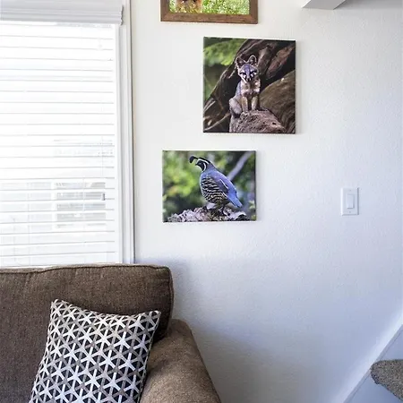 Villa Woodchuck Flat à Fort Bragg Extérieur photo