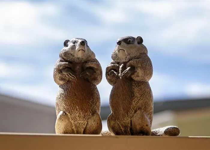Woodchuck Flat