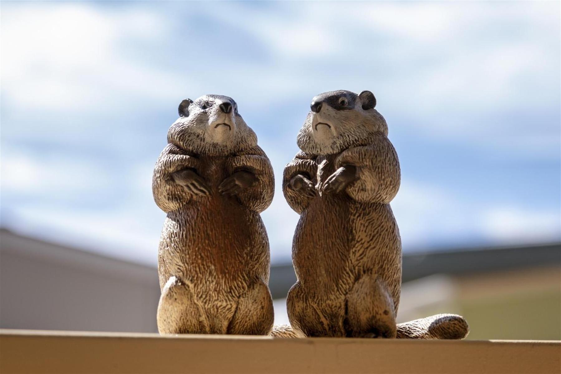 Woodchuck Flat