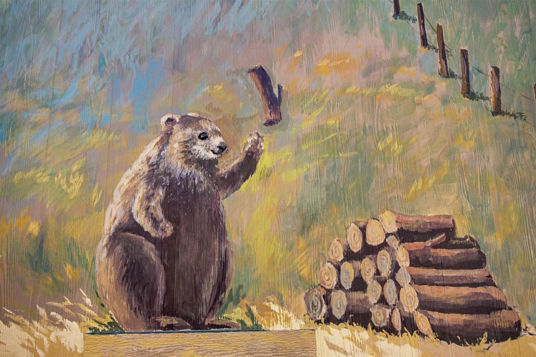 Woodchuck Flat *